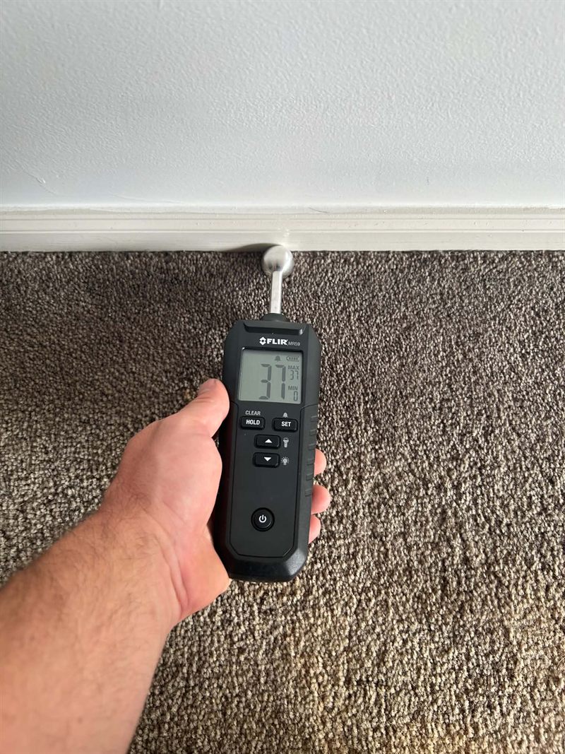 FLIR moisture meter held against damp carpet, reading 37